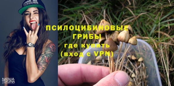 2c-b Струнино